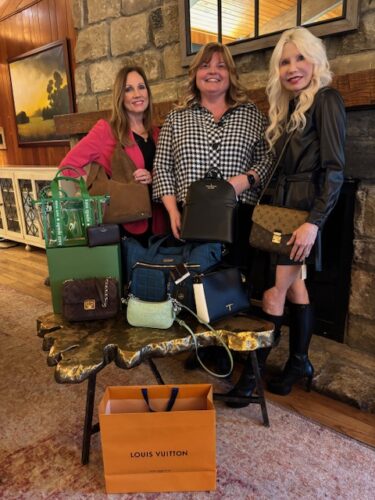Snag a Bag Purse Auction Benefits WSO
